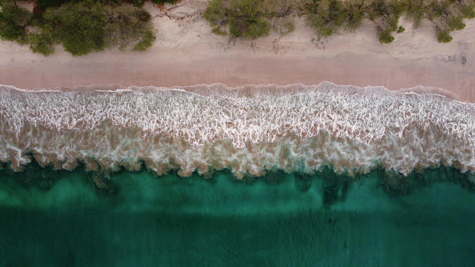 Discover Untouched Paradise: Coldwell Banker Expands to Playa Coyote