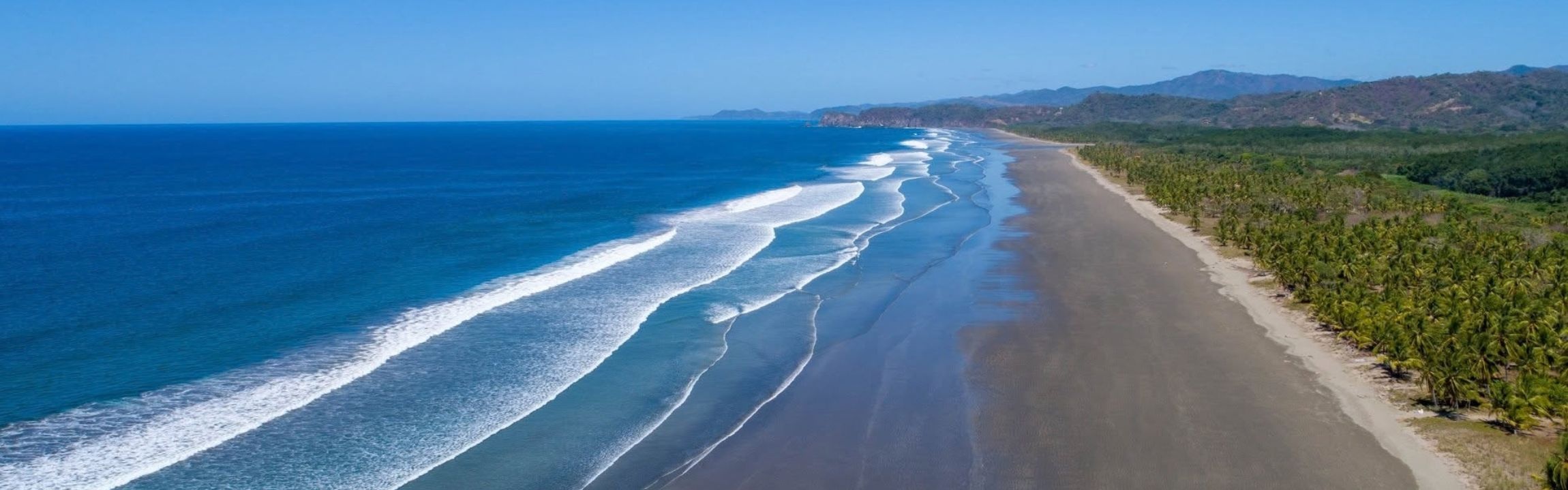 Palm-lined sand of Playa Costa de Oro, the northern half of Playa Coyote, Costa Rica